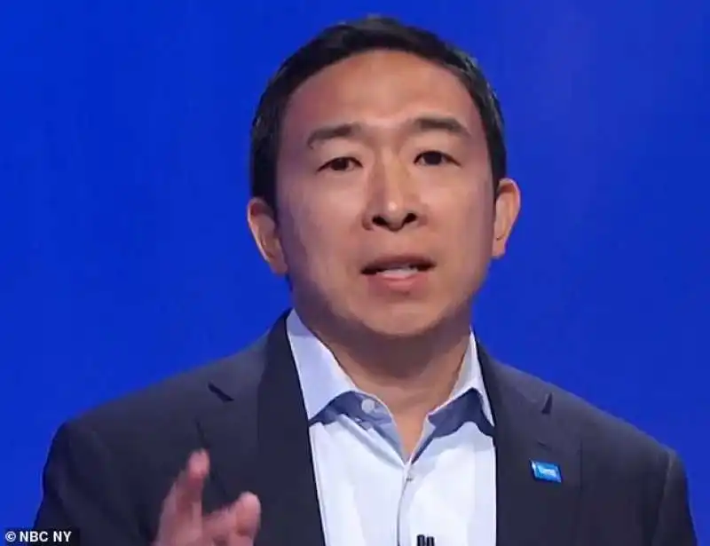 andrew yang 