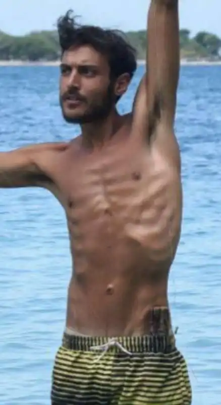 awed vince l'isola dei famosi  5