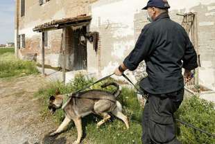 BAMBINO SCOMPASO A FIRENZE