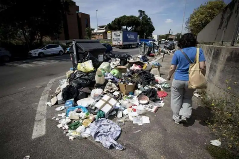 immondizia a roma 9