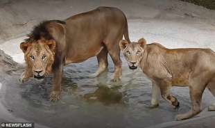 Leoni Arignar Zoological Park