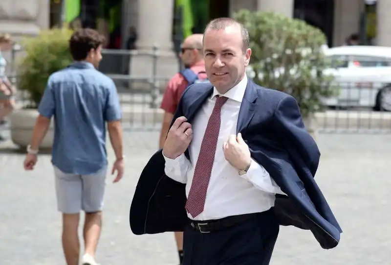 MANFRED WEBER