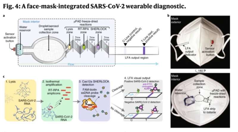 mascherina riconosce il virus in 90 minuti 3