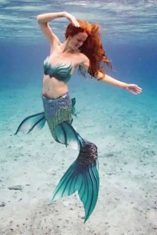 pinna da sirena 13