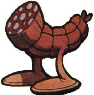 SALAME JACOVITTI