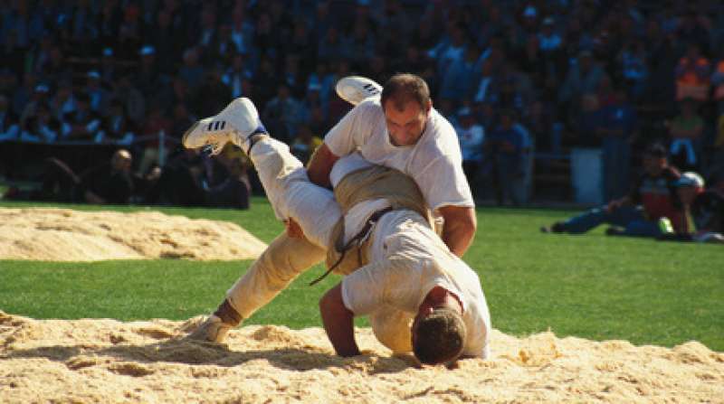 schwingen wrestling svizzera 2