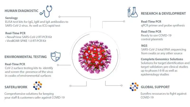 SEQUENZA GENETICA VIRUS