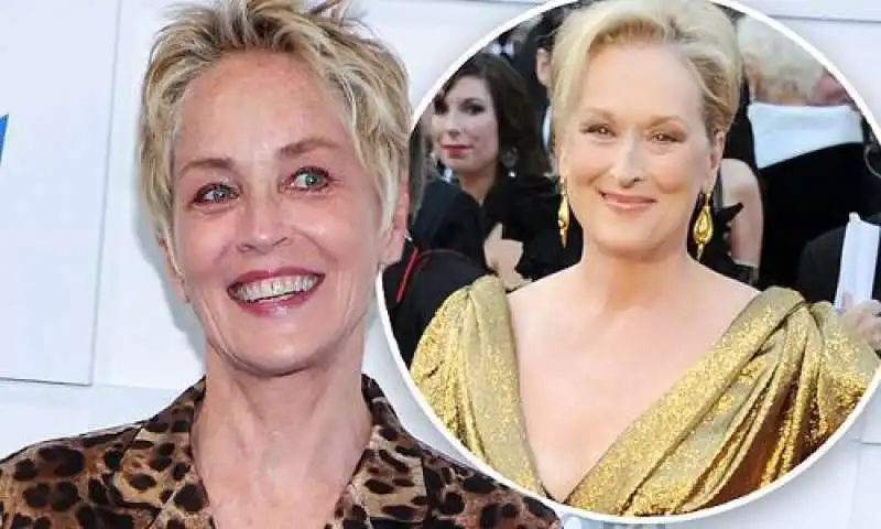 sharon stone e meryl streep 1