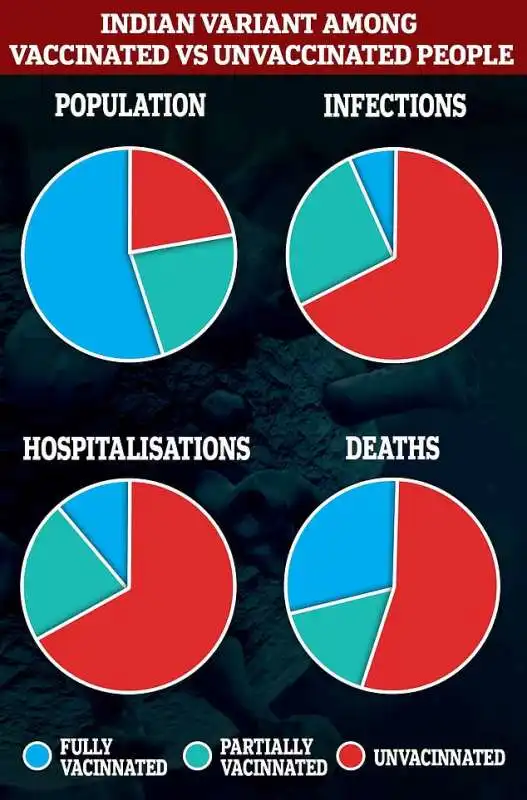 Statistiche