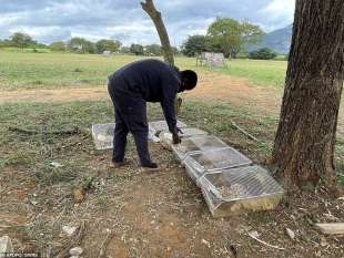 addestramento di topi da salvataggio in tanzania 4