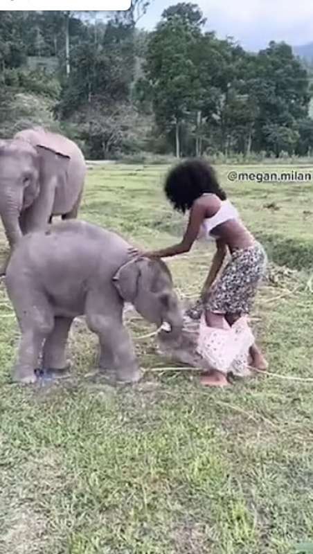 baby elefante toglie gonna a una modella 3