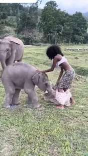 baby elefante toglie gonna a una modella 3