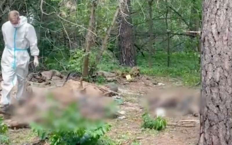 cadaveri nel bosco di merozke, in ucraina 3