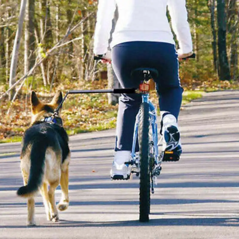 cane legato a bici 