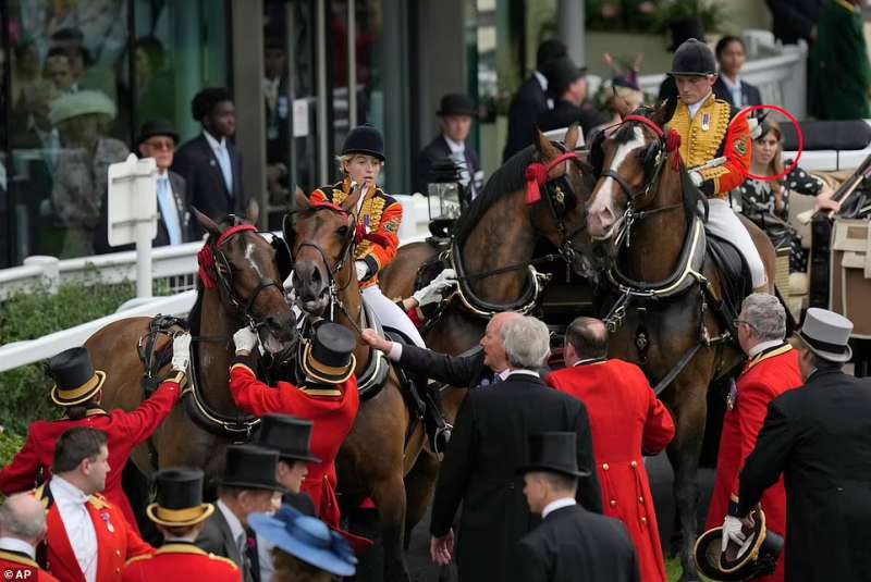 cavallo impazzito al royal ascot