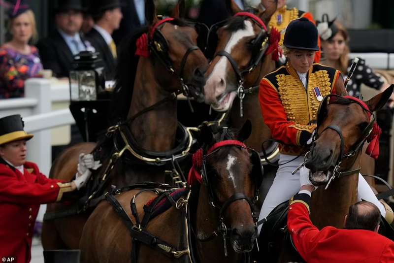 cavallo impazzito al royal ascot 4