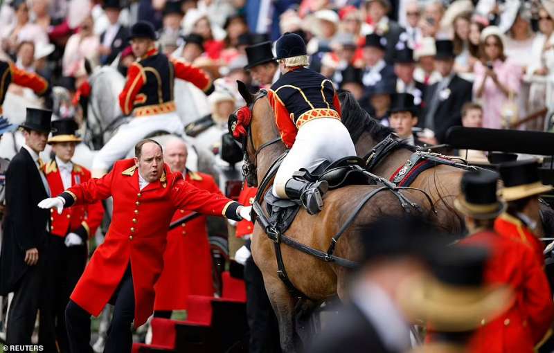 cavallo impazzito al royal ascot 5