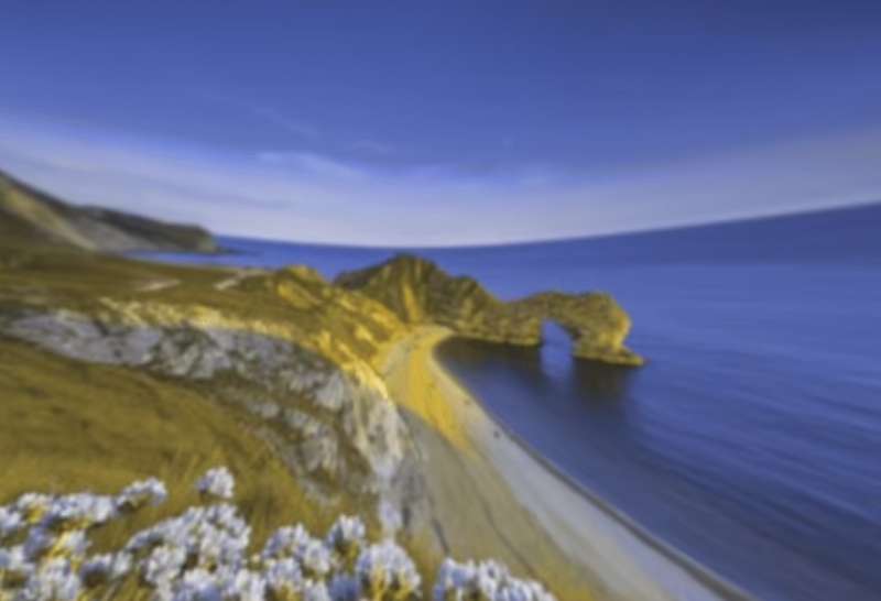 come vedrebbe durdle door il tuo cane