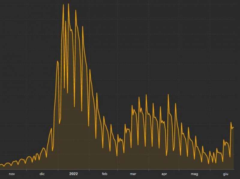 CURVA CONTAGI 24 GIUGNO 2022