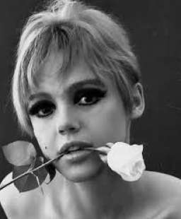 edie sedgwick 1