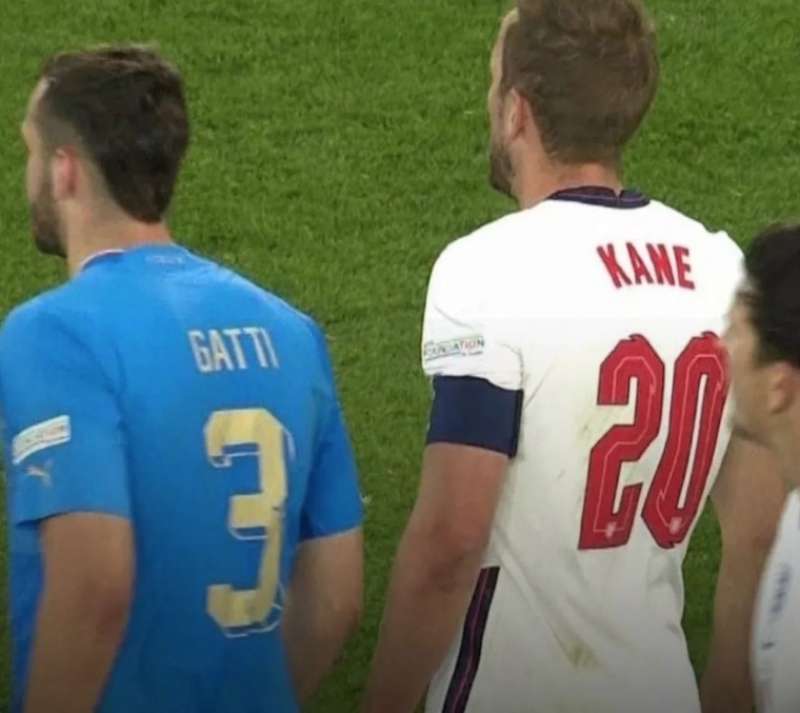 gatti e kane