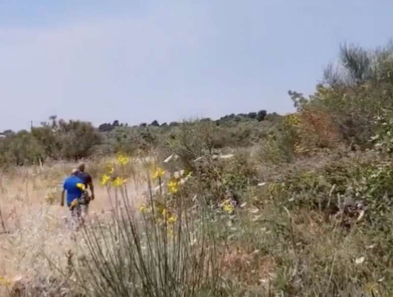 il campo dove e stato ritrovato il cadavere di elena del pozzo