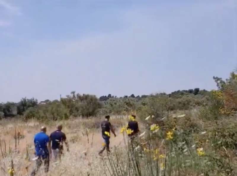 il campo dove e stato ritrovato il cadavere di elena del pozzo