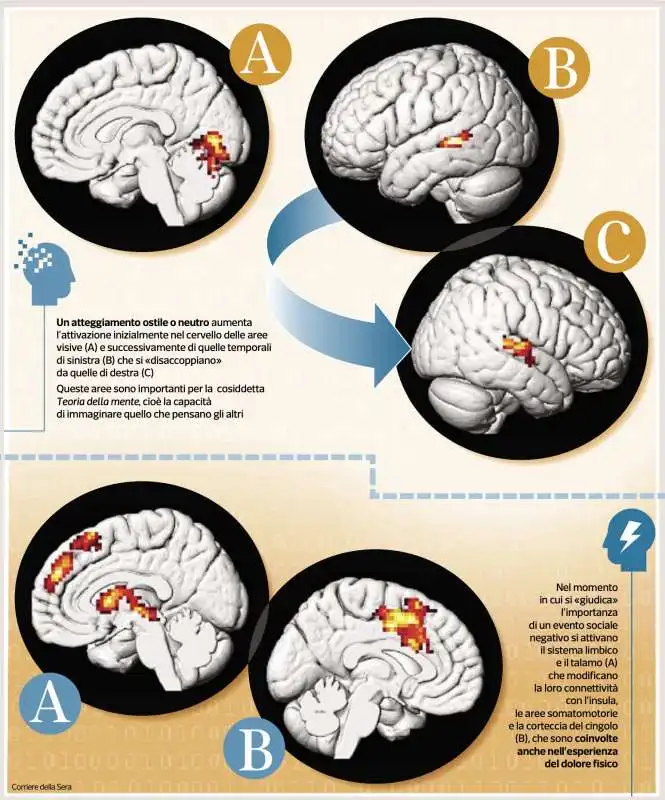 Il comportamento del cervello in situazioni ostili