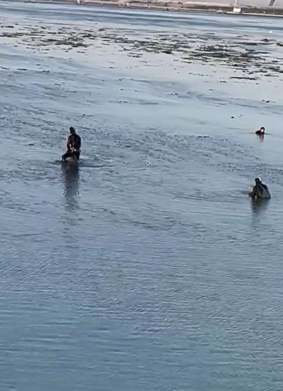 la pesca di ostriche sotto il ponte della liberta a venezia 8