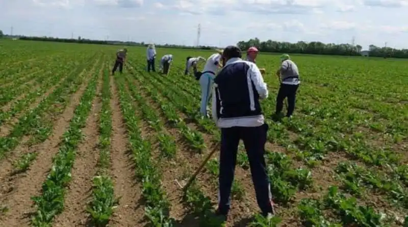 lavoratori agricoli