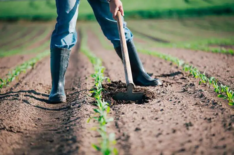 lavoratori agricoli