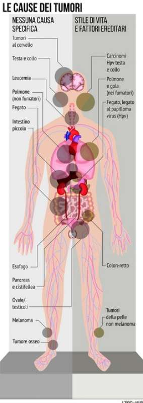 le cause dei tumori