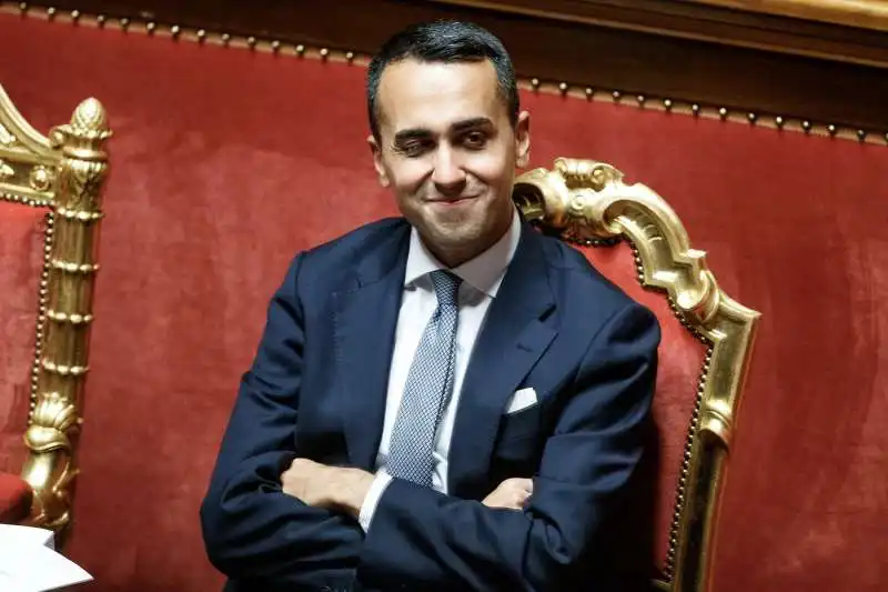 LUIGI DI MAIO AL SENATO 