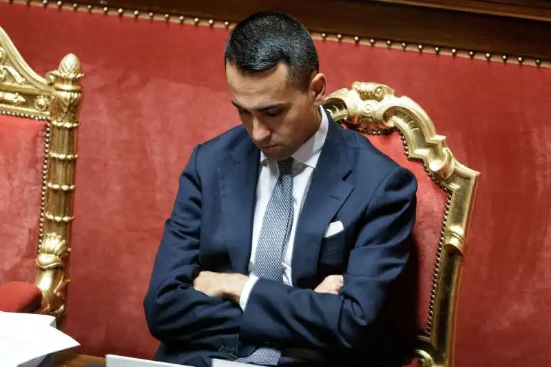 LUIGI DI MAIO AL SENATO  