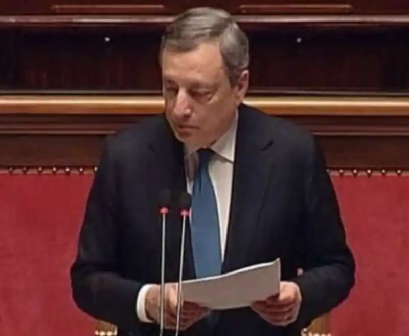 MARIO DRAGHI AL SENATO 