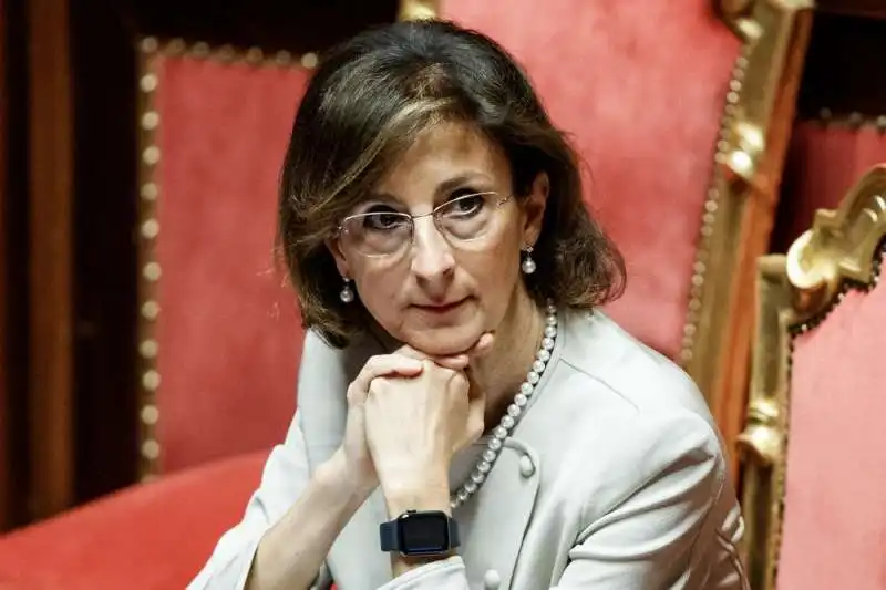 marta cartabia al senato  2