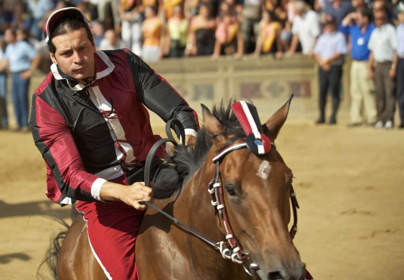 palio di siena su la7 2