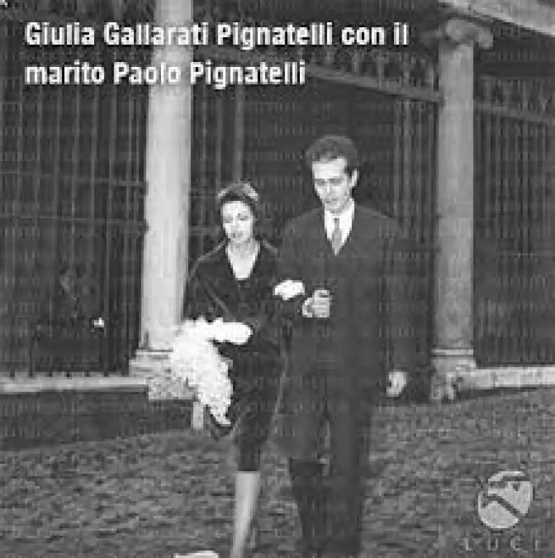 picchi e pepito pignatelli