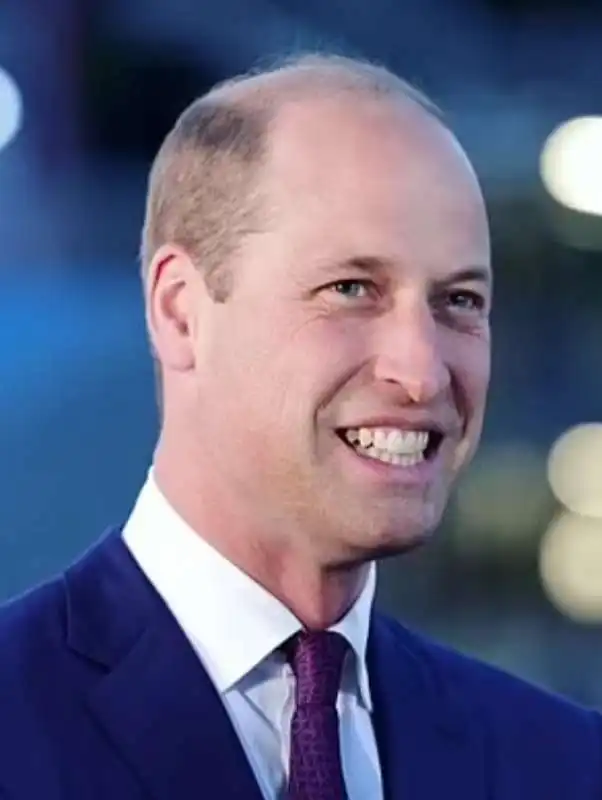 principe william 2