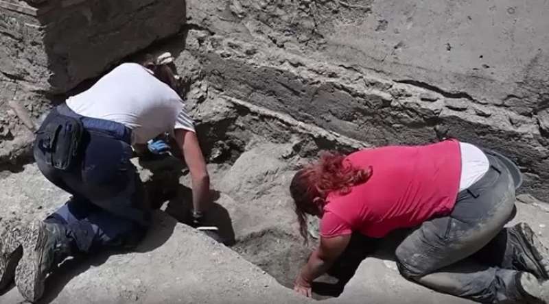 resti di tartaruga trovati a pompei