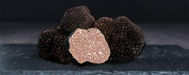 tartufo nero estivo 3