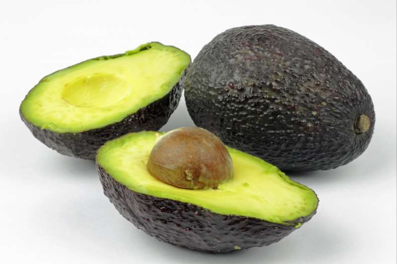 avocado 2