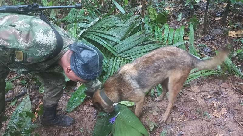 bambini sopravvissuti a incidente aereo in colombia.