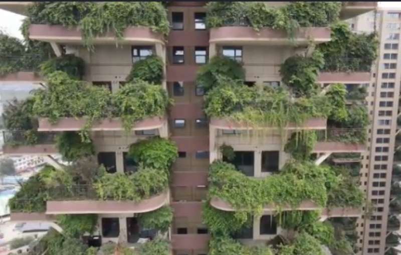 bosco verticale cinese 2