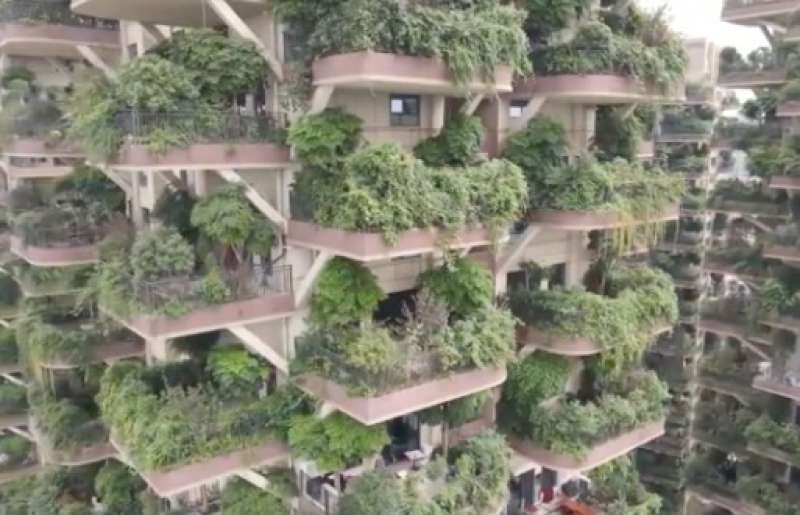 bosco verticale cinese 3