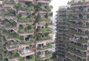 bosco verticale cinese 4