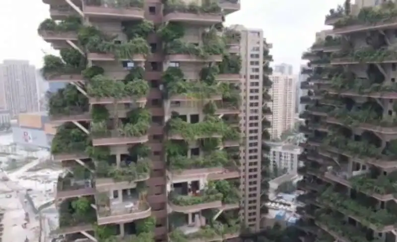 bosco verticale cinese 5