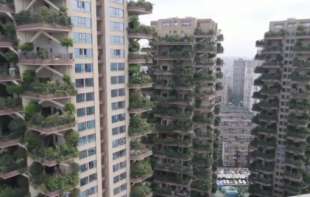 bosco verticale cinese 6