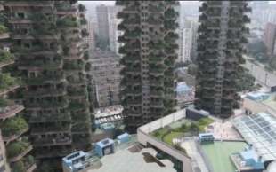 bosco verticale cinese 7