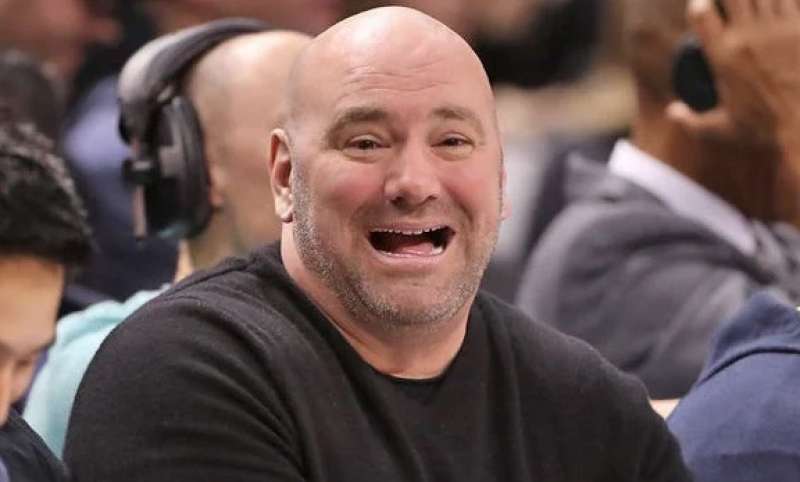 dana white